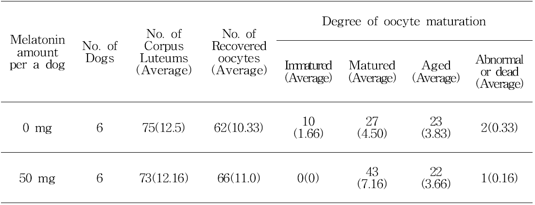 멜라토닌 투여에 따른 황체수, 채취난자수, 난자성숙정도