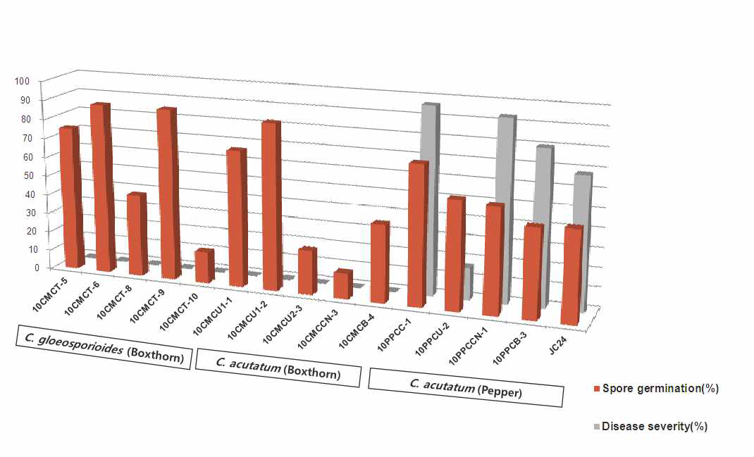 구기자와 고추에서 분리한 탄저병균(Colletotrichum spp.)의 포자발아와 고추 열매 에 대한 병원성 비교