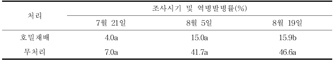 노지고추 재배포장에서 호밀재배에 의한 고추역병 발병조사