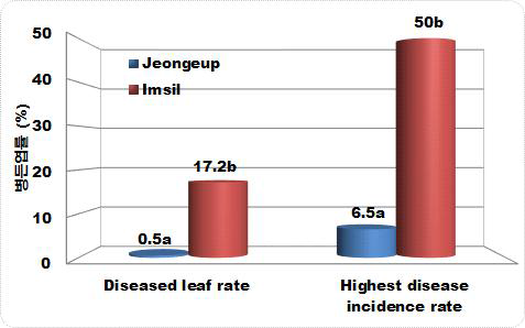 고추 세균점무늬병의 발생이 심한 밭과 약한 밭의 병든엽률 차이