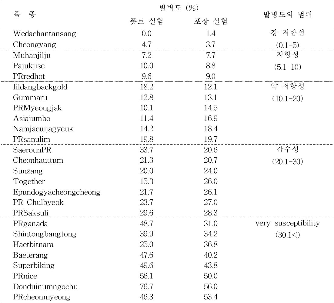 고추 품종의 세균점무늬병에 대한 저항성