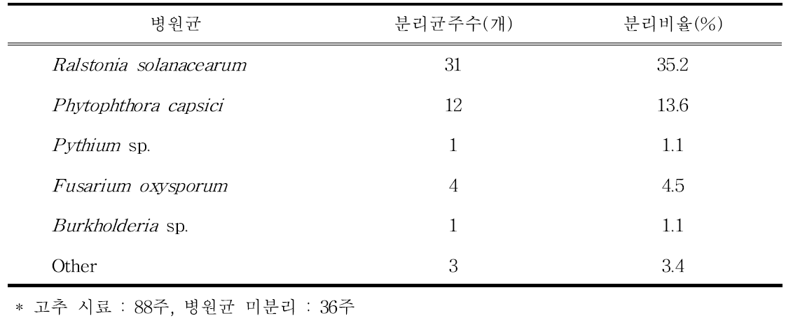 2013년 시들음 증상 고추 시료에서의 병원균 분리비율