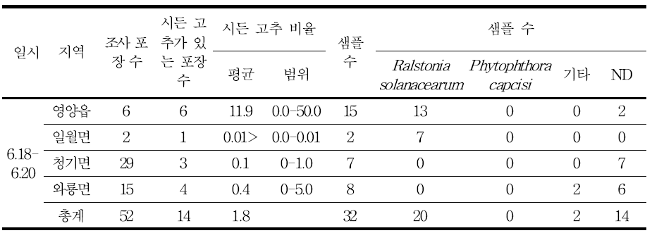 2014년 경북지역 고추 시들음 증상 발생율과 분리균