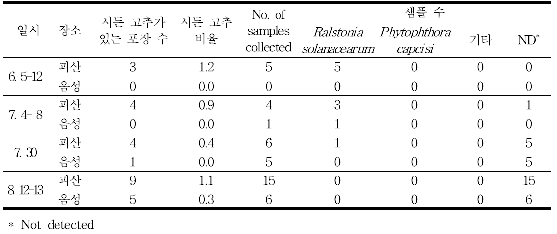 2014년 충북 고추시들음 증상 발생율과 분리균