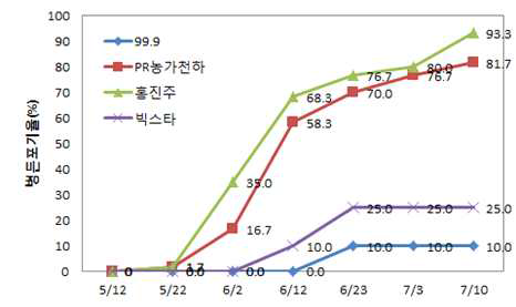 동절기 호밀재배 처리구 풋마름병 발생율