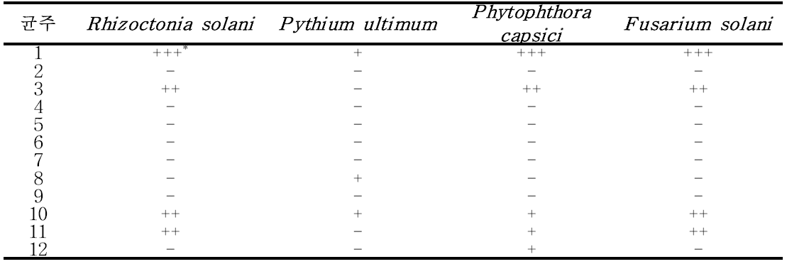 토양에서 분리된 미생물의 길항능력 스펙트럼 검정