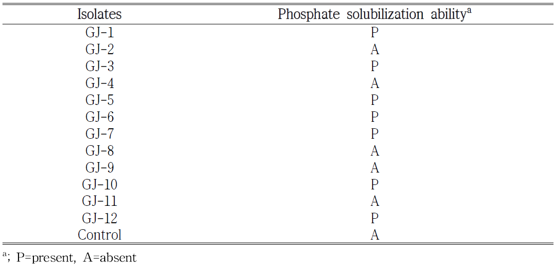 Phosphate solubilizing 활성 검정