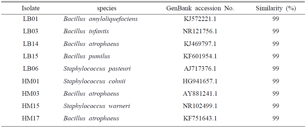 16S rRNA sequences를 이용한 분리된 미생물의 동정결과