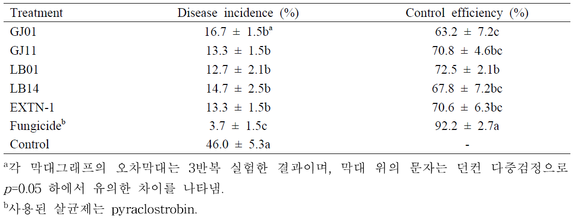 고추 포장에서 미생물 처리에 의한 PGPR 효과