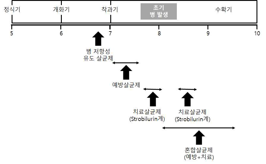 고추 생육 시기 및 탄저병 발생 시기에 맞춘 살균제 처리 체계.