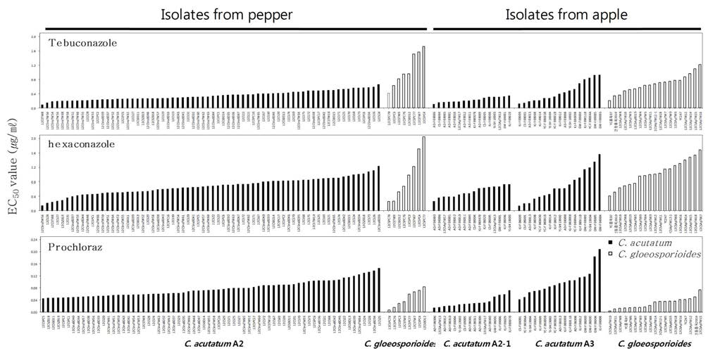 탄저병이 발생한 고추와 사과에서 분리한 Colletotrichum acutatum과 C. gloeosporioides의 tebuconazole, hexaconazole and prochloraz에 대한 EC50값