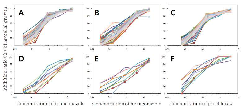 고추 탄저병균인 Colletotrichum acutatum (A, B, C)과 C. gloeosporioides(D, E, F) 에 대한 tebuconazole, hexaconazole 그리고 prochloraz의 균사생장 억제효과.