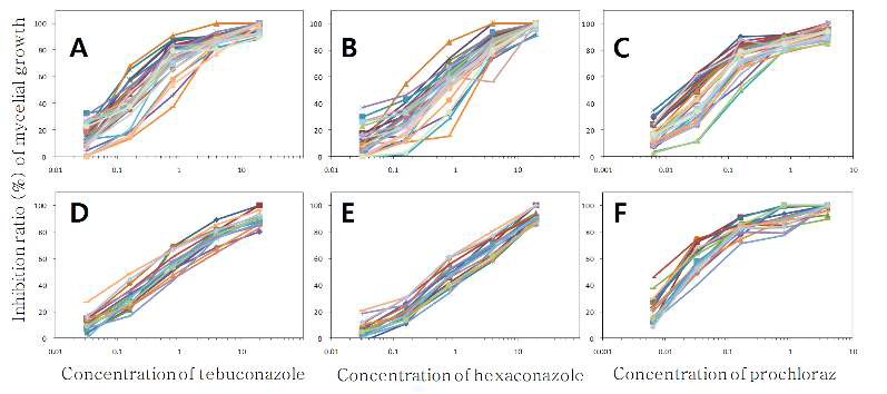 사과 탄저병균인 Colletotrichum acutatum(A, B, C)과 C. gloeosporioides(D, E, F) 에 대한 tebuconazole, hexaconazole 그리고 prochloraz의 균사생장 억제효과.