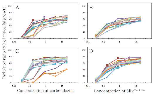 사과에서 분리한 C. acutatum A2-1(A, B)와 C. gloeosporioides A3(C, D)의 균사생 장에 미치는 carbendazim(A와 C)과 carbendazim/diethofencarb 혼합제(B와 D)의 억제 효과.