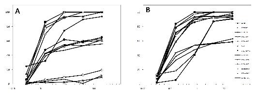 Colletotrichum acutatum과 C. gloeosporioides에 대한 carbendazim(A)과 carbendazim/diethofencarb(B) 혼합제의 균사생장 억제효과.