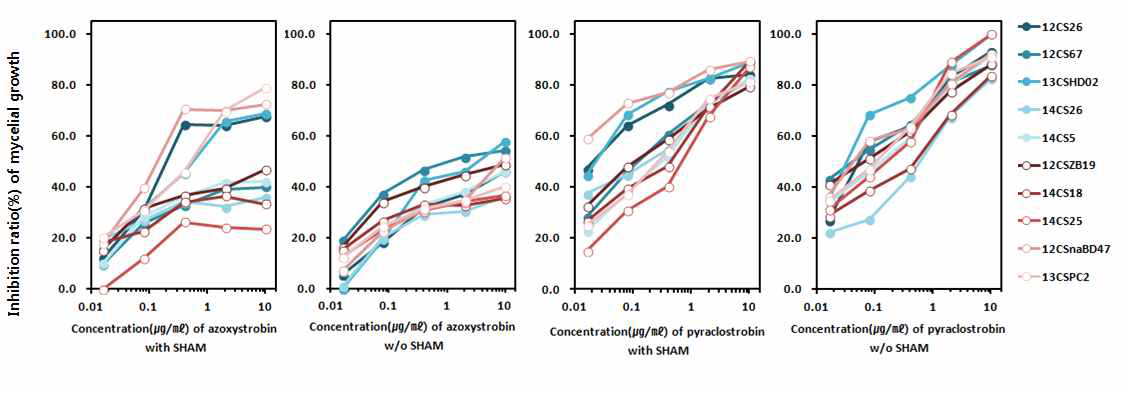 Colletotrichum acutatum에 대한 azoxystrobin(A and B)과 pyraclostrobin(C and D)의 균사생장 억제효과에 미치는 SHAM의 영향