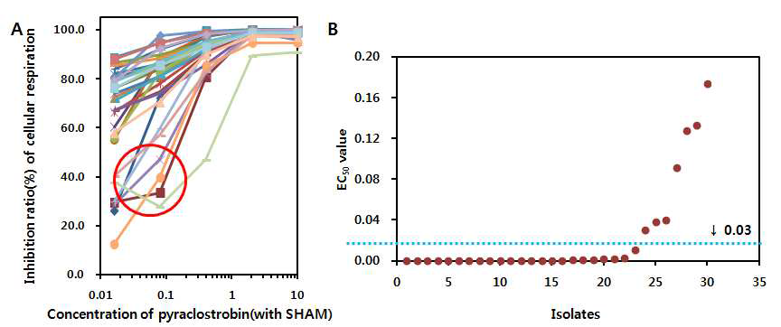 Colletotrichum acutatum에 대한 Pyraclostrobin의 호흡억제 효과(A)와 EC50값의 분포도(B).