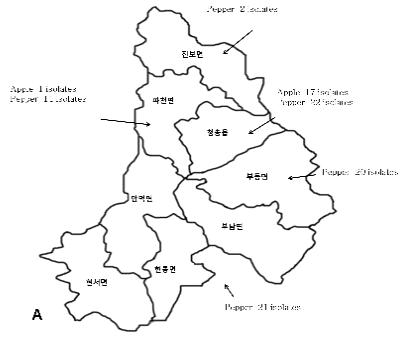 청송군 내 사과 및 고추 탄저병균(Colletotrichum spp.) 단포자 분리 지역.