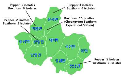 청양군내 이병된 고추와 구기자로부터 Colletotrichum spp.을 분리한 지역