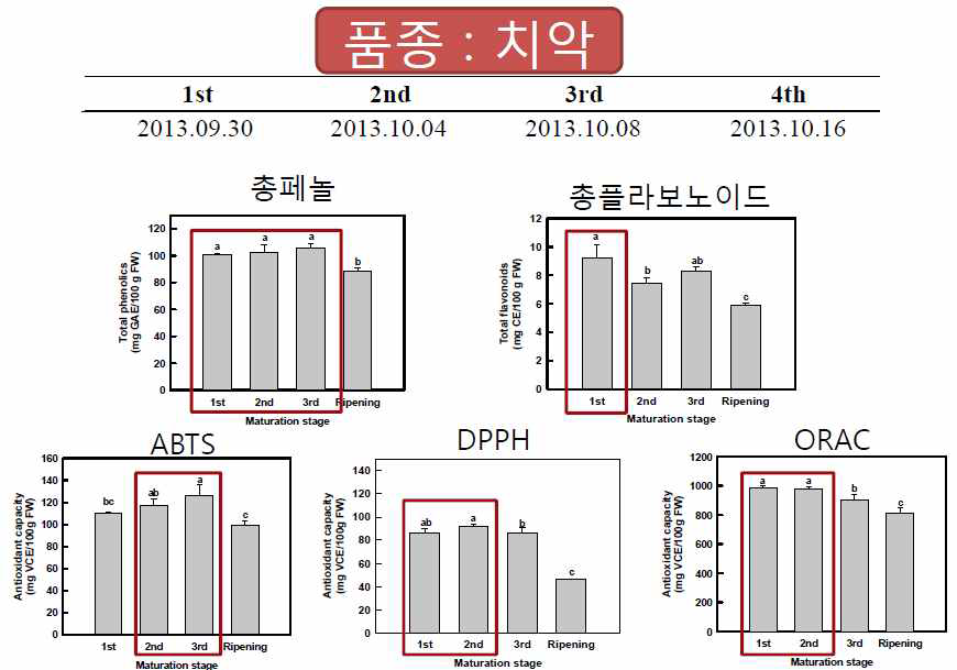 치악 품종에 대한 총페놀 함량, 총플라보노이드 함량 및 항산화능 (ABTS, DPPH, ORAC) 결과