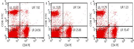 CD8의 유세포 형광분석 측정 결과