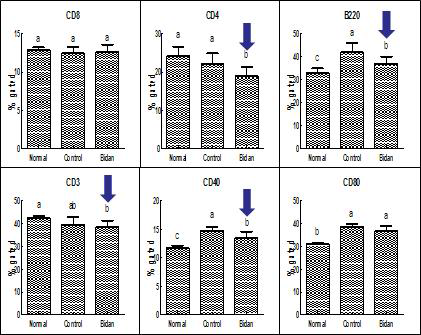 CD3, CD40, CD80, CD8, CD4, B220에 대한 유세포 형광분석 결과