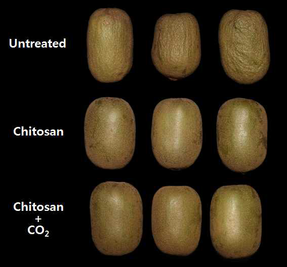 수확전후 키토산 및 고이산화탄소 처리가 저장중 황육계 참다래 외관에 미치는 영향
