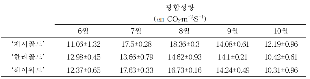 참다래 품종 별 광합성량 측정