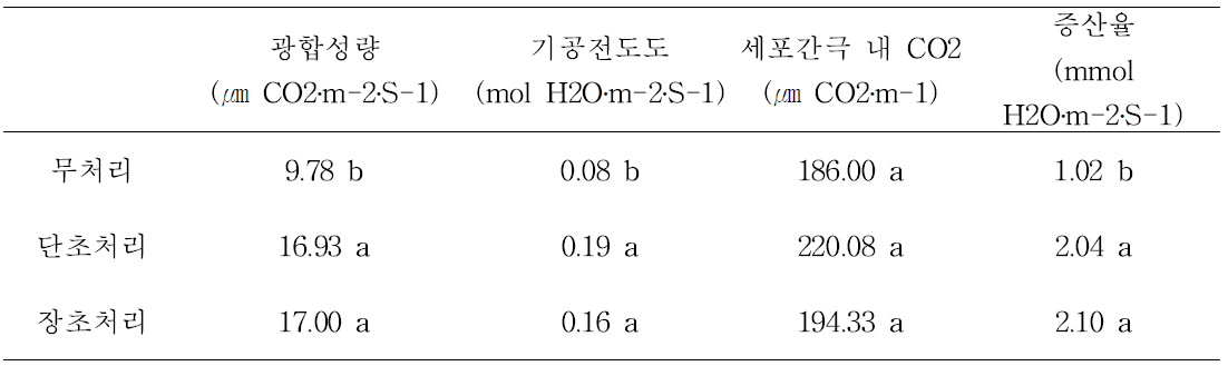 결과지 적심 정도에 따른 광합성 측정(‘제시골드’)