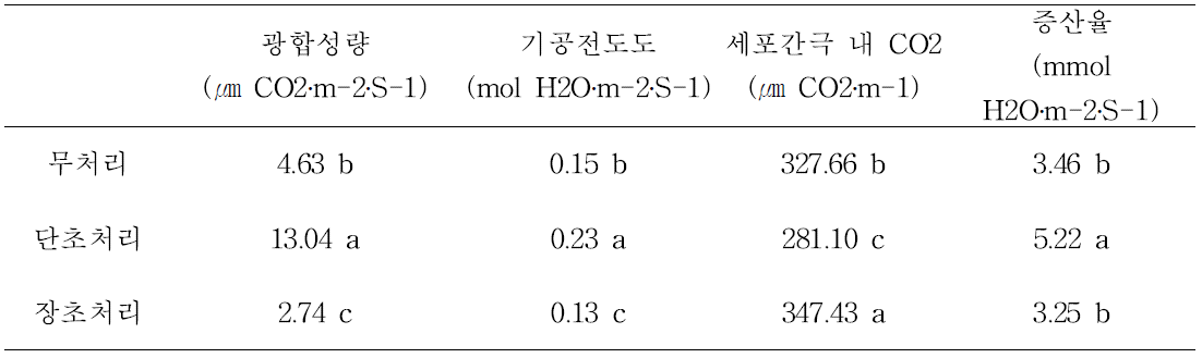 결과지 적심 정도에 따른 광합성 측정(‘한라골드’)