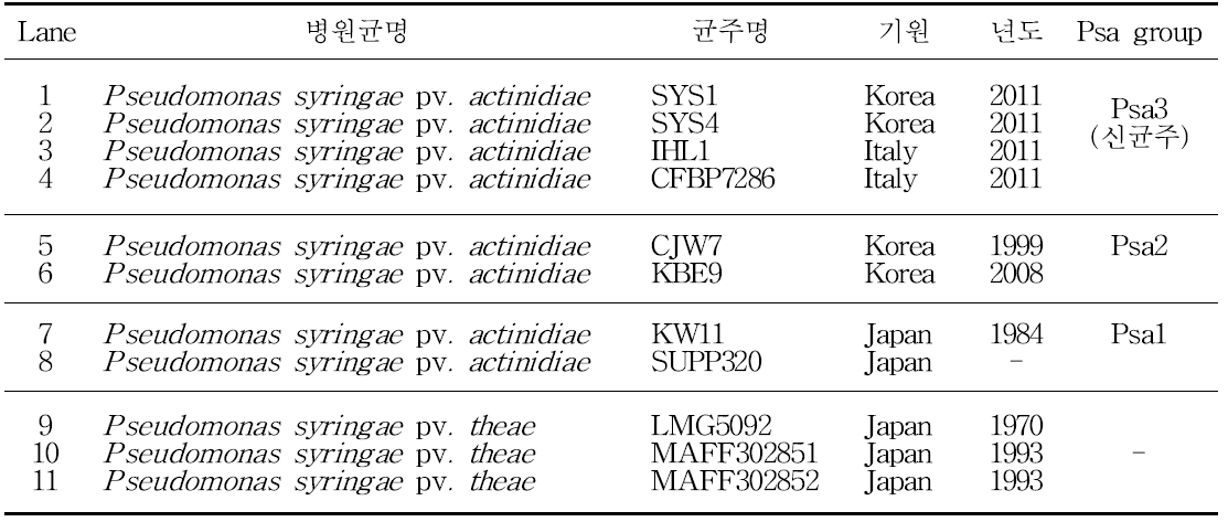 Multiplex PCR진단용 primer를 검증하기 위하여 사용한 균주