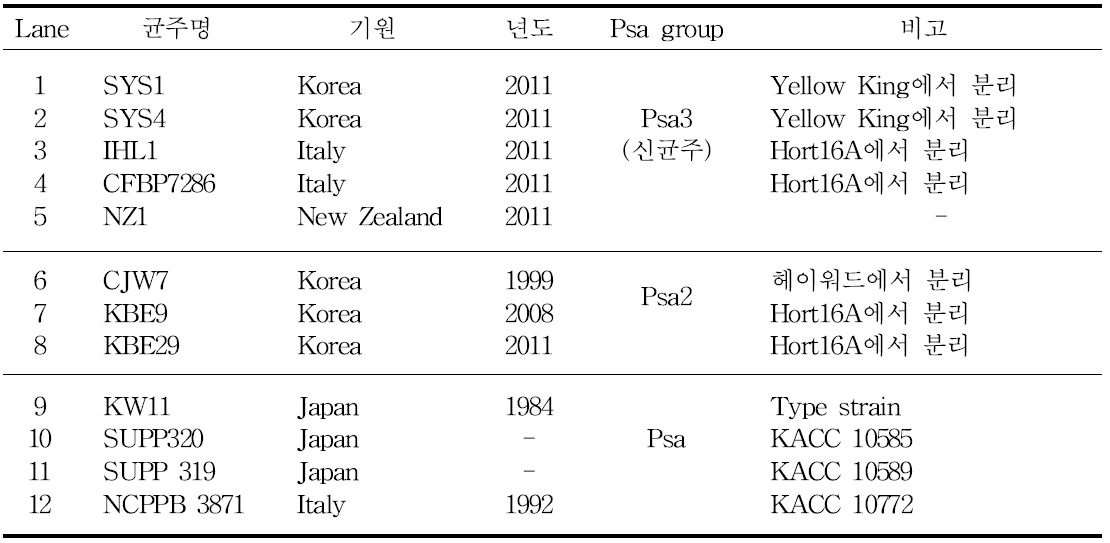 Tac primer를 검증하기 위하여 시험한 균주