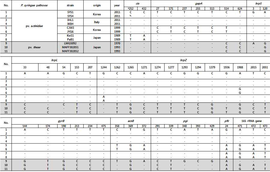 Single nucleotide polymorphisms (SNPs) 분석 결과