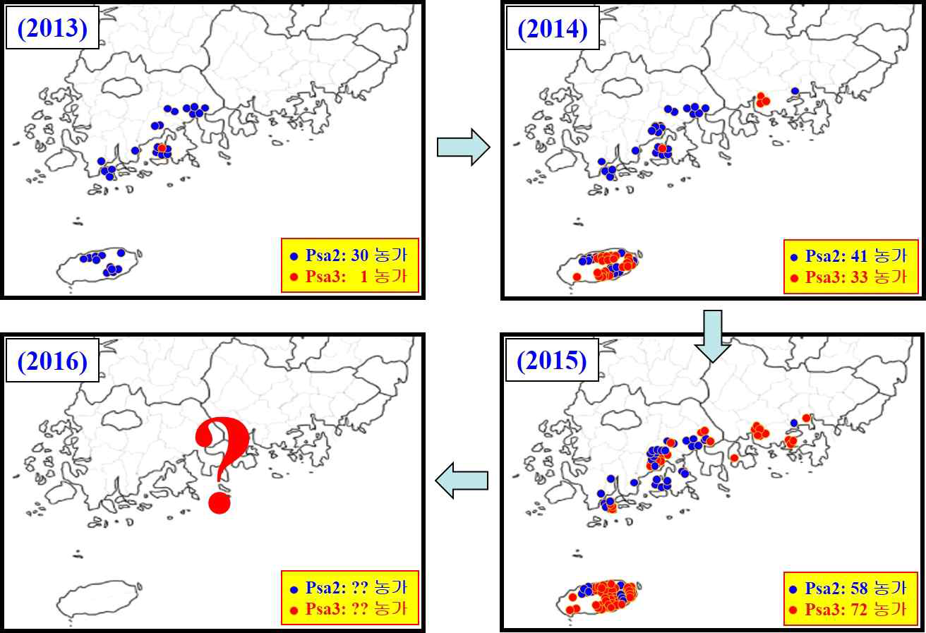 2013～2015년도 참다래 궤양병의 확산, 붉은색(Psa3), 파란색(Psa2)