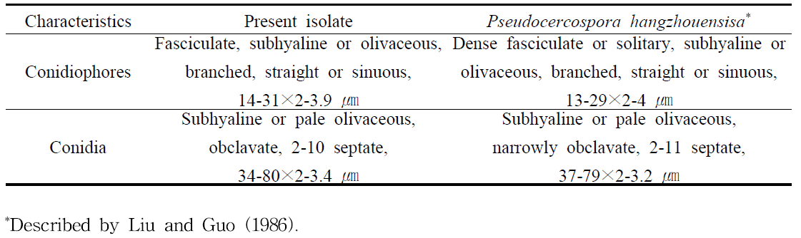 과실곰보병을 일으키는 Pseudocercospora hangzhouensis의 균학적 특징