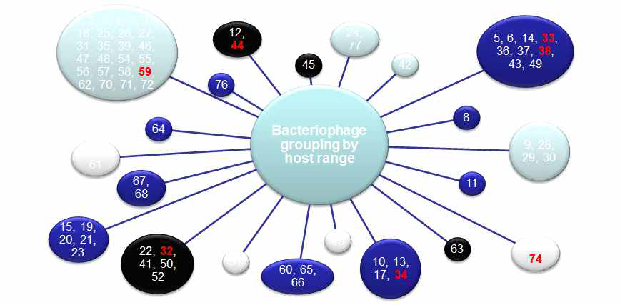 기주범위별 분리된 박테리오파지 분포 종합
