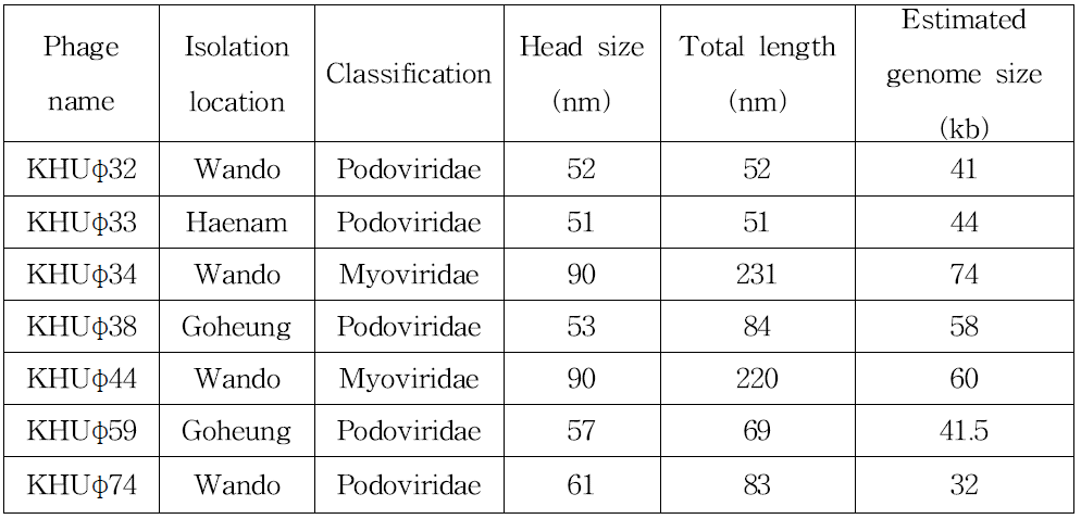 선별된 7개 박테리오파지의 특성 종합