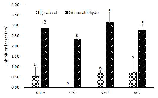 Pseudomonas syringae pv. actinidiae (Y축)에 대한 검정결과, 오차막대 상단에 던칸의 다범위검증 결과 명시.