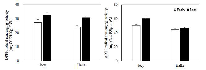 조기 및 만기수확과실의 항산화 활성