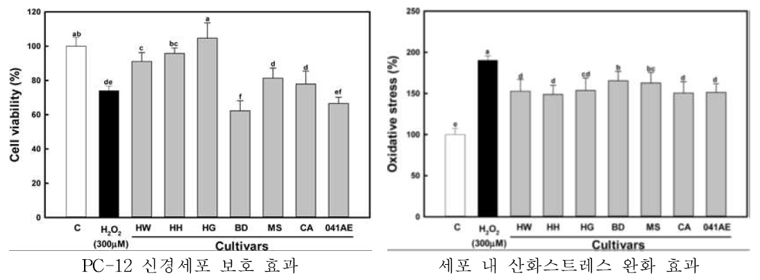 PC-12 신경세포의 세포생존률 및 산화스트레스 레벨 측정