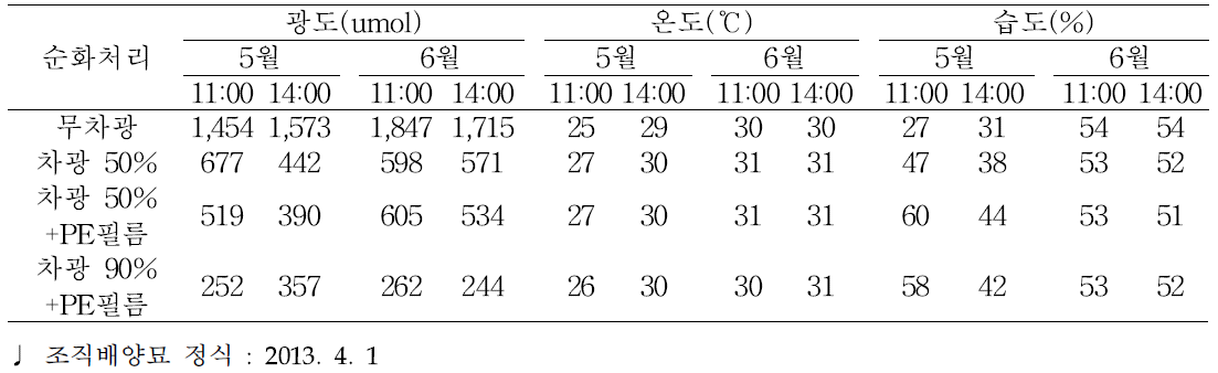 유색칼라 조직배양묘 순화처리별 환경변화