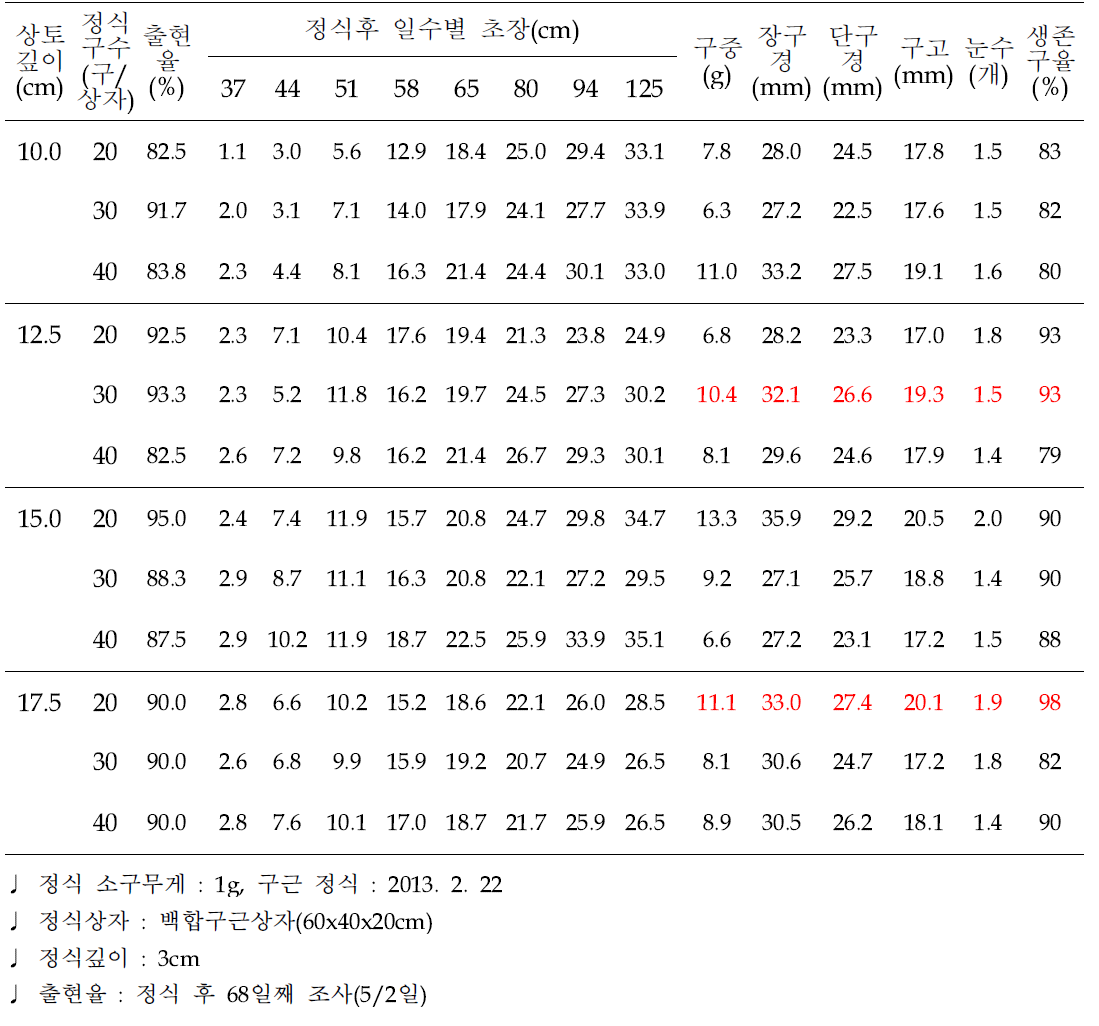 유색칼라 ‘립글로’ 소구(T1-1g) 상토깊이 및 밀도별 생육비교