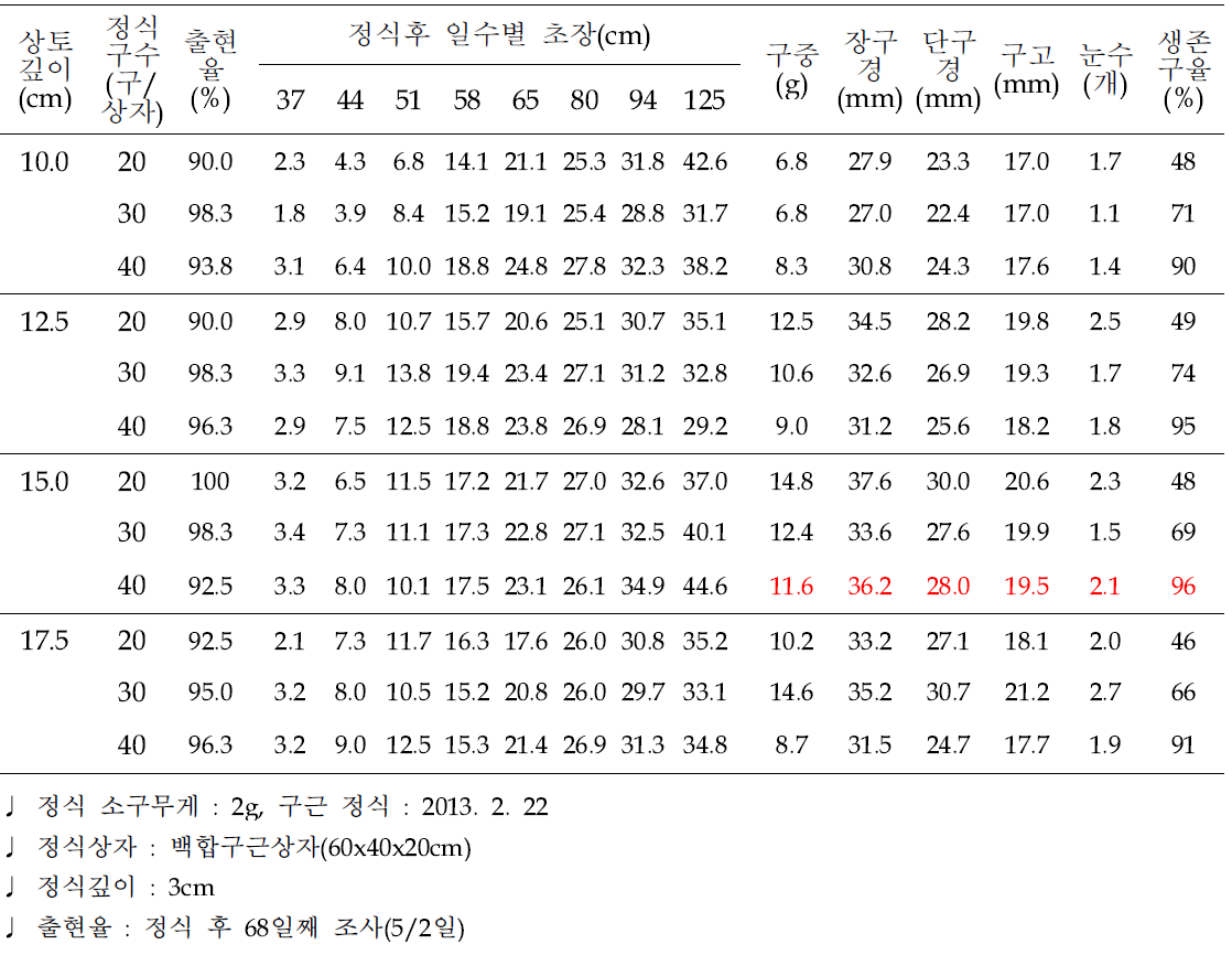 유색칼라 ‘립글로’ 소구(T1-2g) 상토깊이 및 밀도별 생육비교