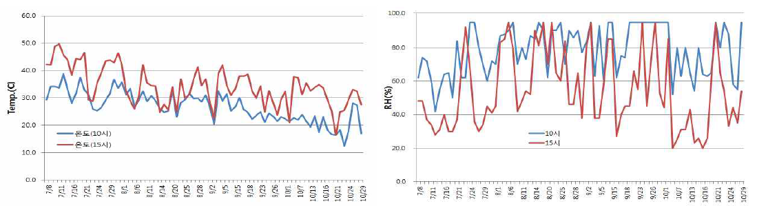유색칼라 양구시 재배 중 하우스 온도 및 습도변화