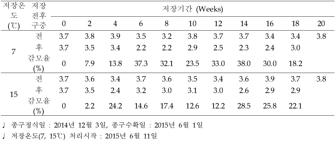 유색칼라 ‘립글로’ 소구(T1) 저장온도 및 기간별 구근 감모율 변화