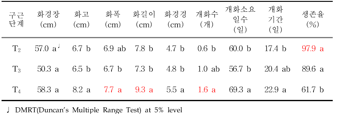 유색칼라 ‘골든하트’ 구근단계별(T2~T4) 생육 및 개화 비교