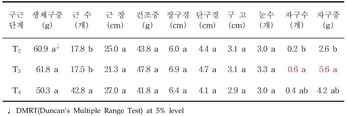 유색칼라 ‘골든하트’ 구근단계별(T2~T4) 재배 후 구근 및 자구 형성 특성 비교