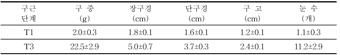 유색칼라 ‘립글로’ 정식 전 구근소질