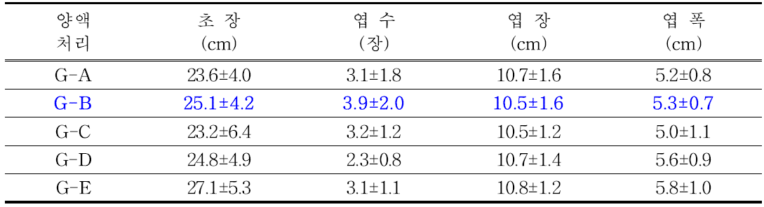 T1 구근의 정식 후 생육 특성 조사