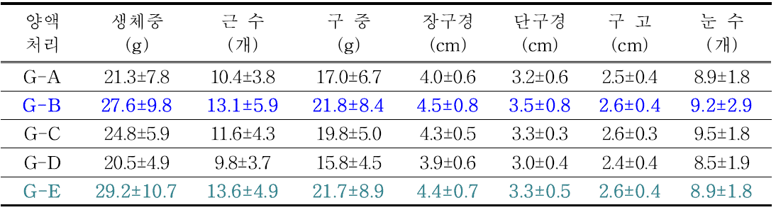 T1 구근의 재배 수확 후 구근 특성 조사